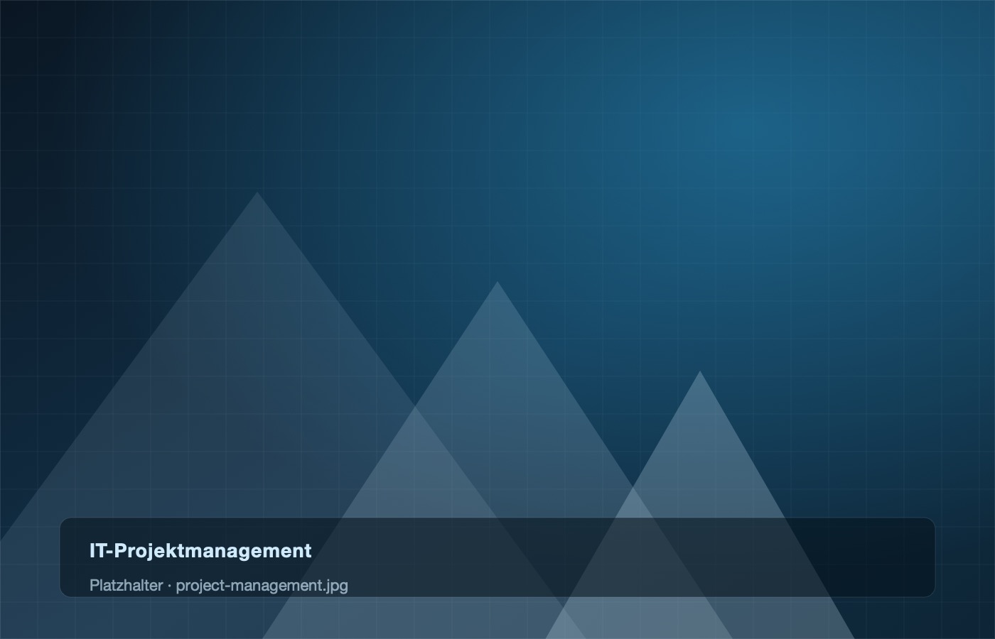 Platzhalterfläche zum Thema IT-Projektmanagement