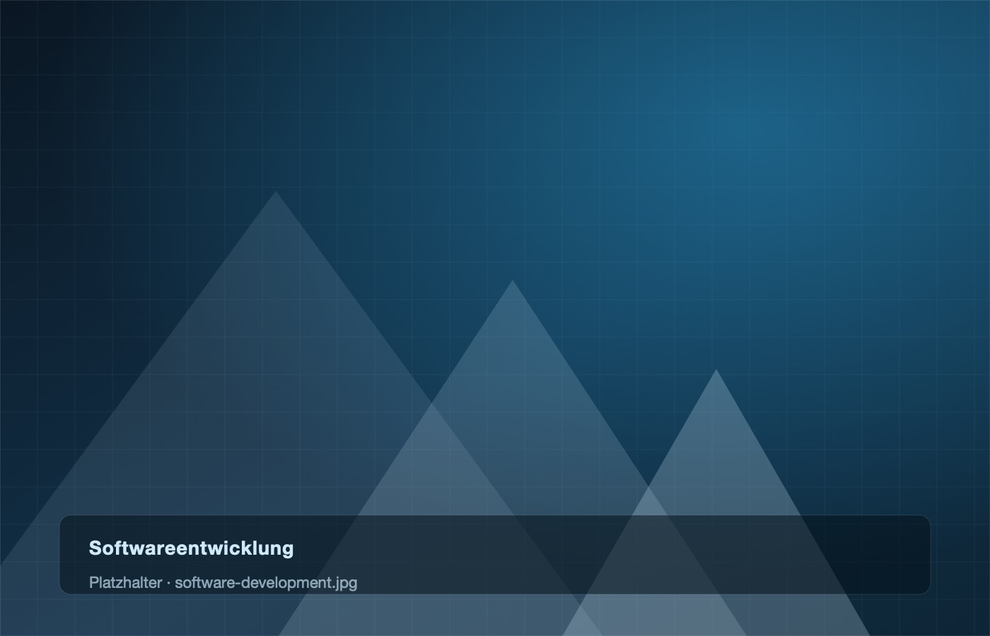 Platzhalterfläche zum Thema Softwareentwicklung